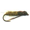 kamloops pupa